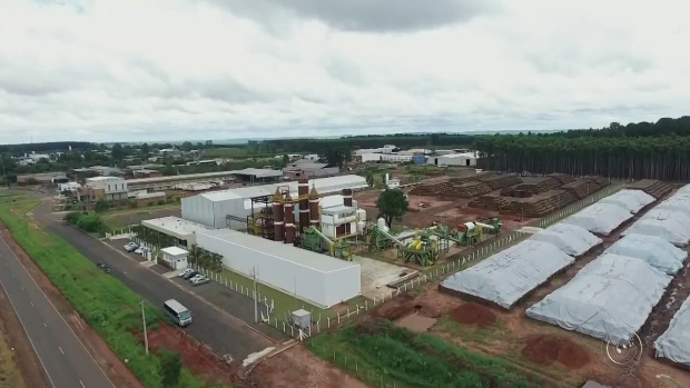 Fábrica de papel a partir da palha da cana tem produção sustentável