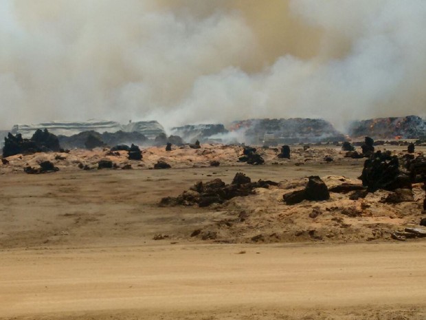granbio-incendio-1-031215