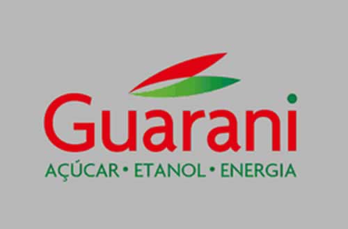 guarani logo