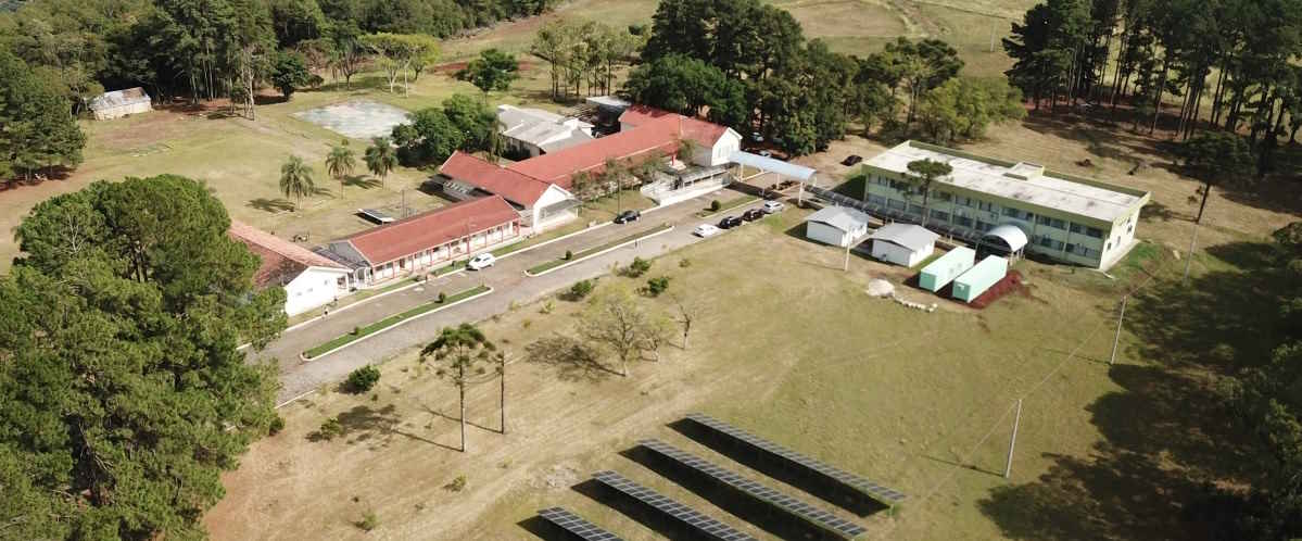 Pesquisa quer promover avanços no sistema de cultivo de cana no Rio Grande do Sul