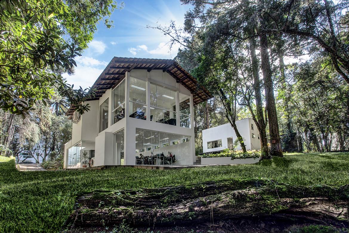 novacana destaque 2