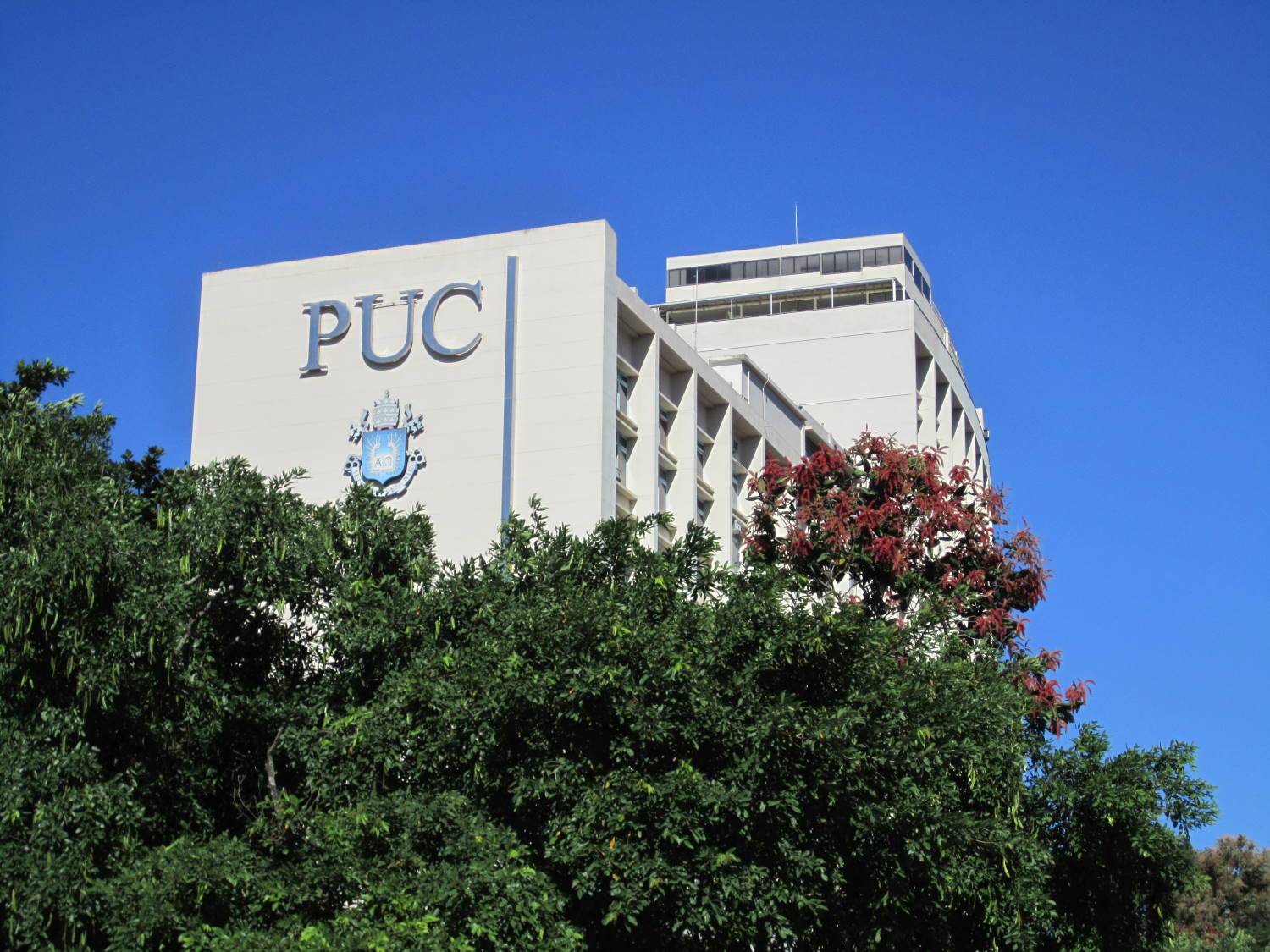 PUC-Rio apresenta estudo sobre o RenovaBio encomendado pela Brasilcom