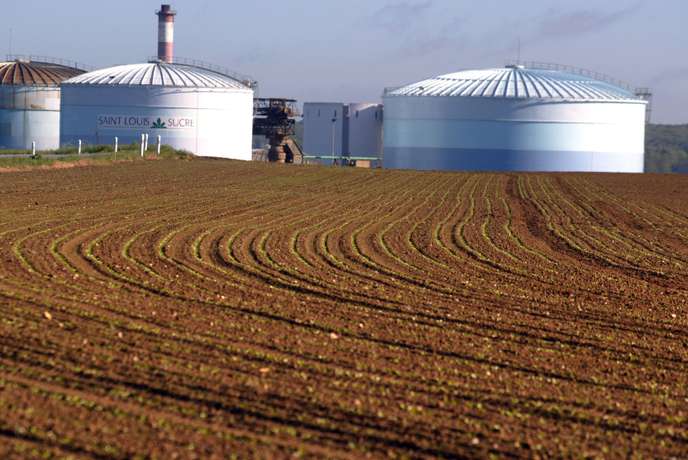 Saint-Louis Sucre vai parar produção de açúcar em duas unidades na França