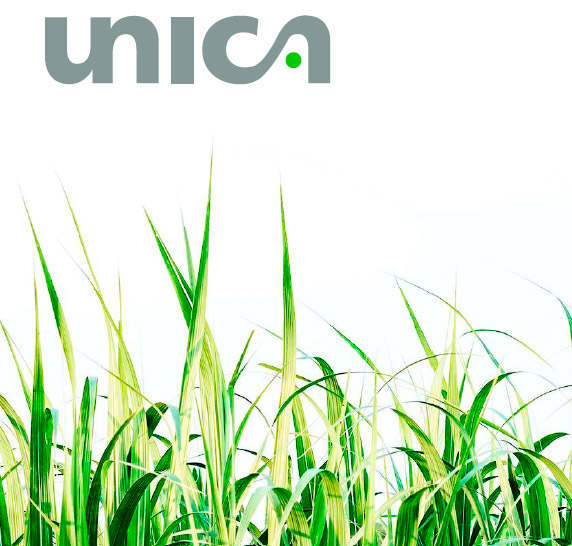 unica cana 181214