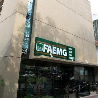 Federação de Minas Gerais faz apelo ao governo para ajudar setor de etanol