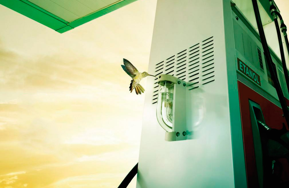 As 16 usinas que produzem o etanol mais limpo e sustentável do Brasil