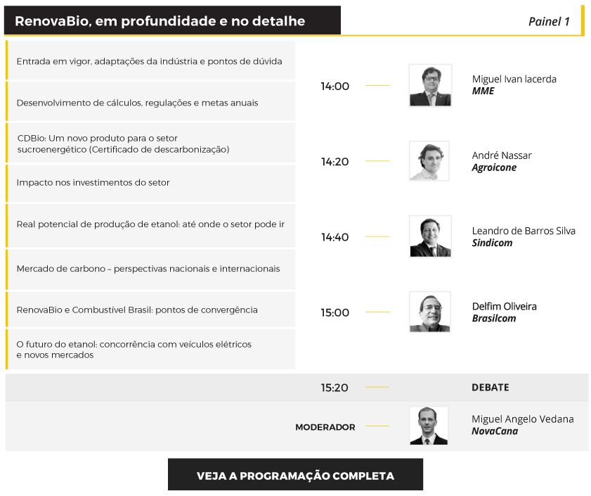 NEC2017 renovabio v2