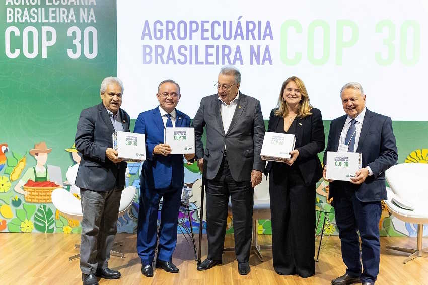 Irregularidade no desmatamento não é feita pelos produtores rurais, diz presidente da CNA