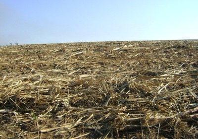 palha-cana-gas-carbonico
