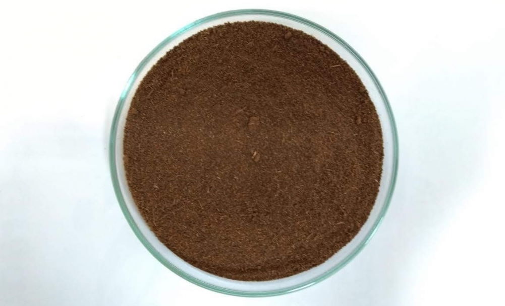 Bagaço de cana nanomodificado pode “limpar” água contaminada com cobre ou crômio