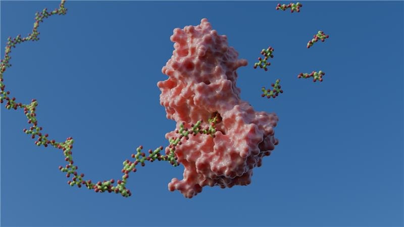 Pesquisa do CNPEM revela mecanismo de enzimas com potencial para biocombustíveis