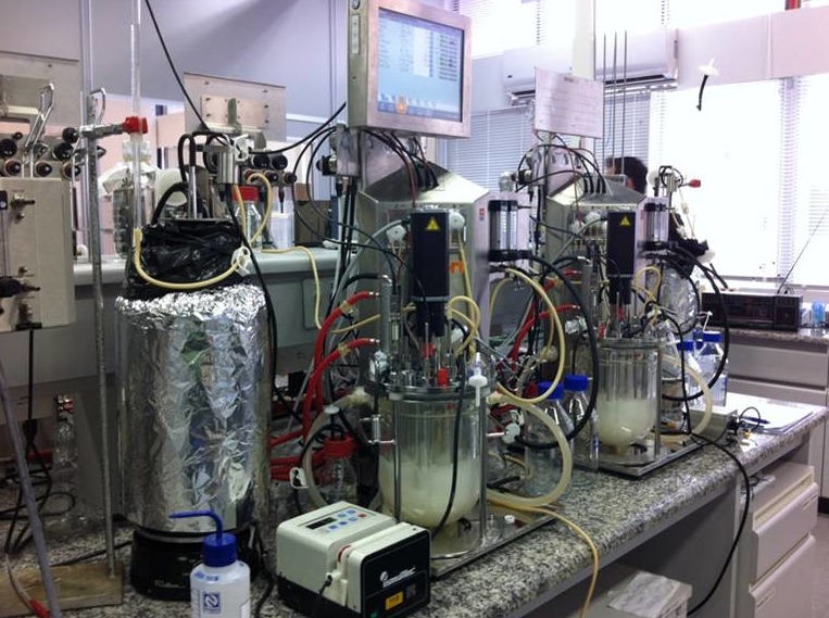 Estudo possibilita criação de levedura modificada para produzir E2G