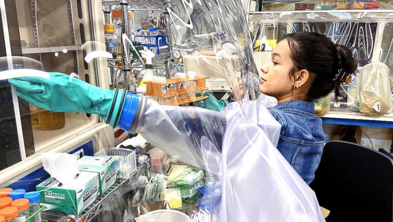 Proteínas de bactérias podem aumentar em até 30% rendimento do etanol de segunda geração