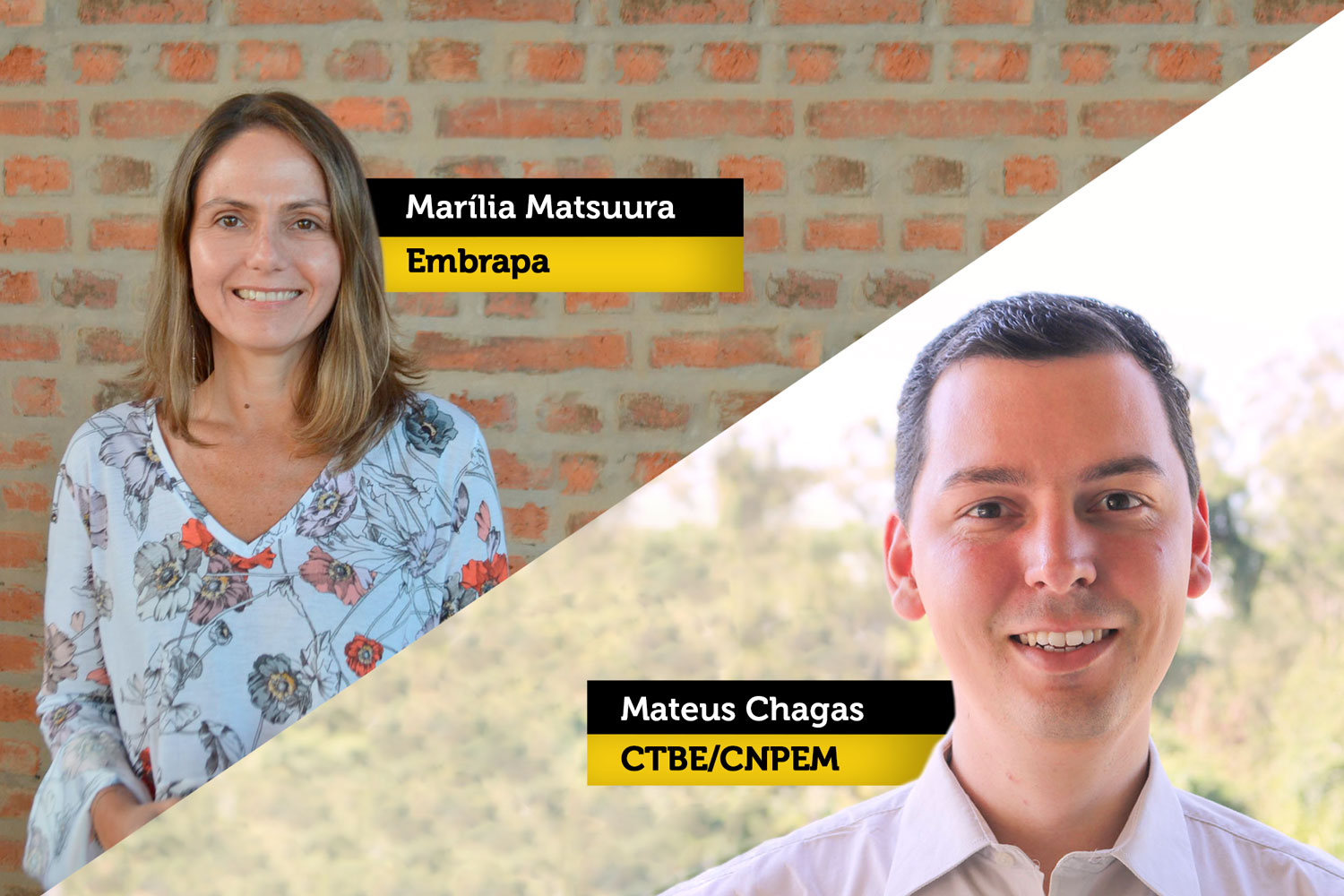 RenovaCalc: Ferramenta determinará o diferencial competitivo entre as usinas no RenovaBio