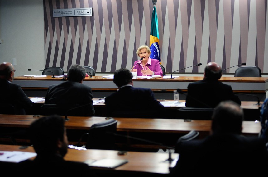 senado-ana-amelia-291015