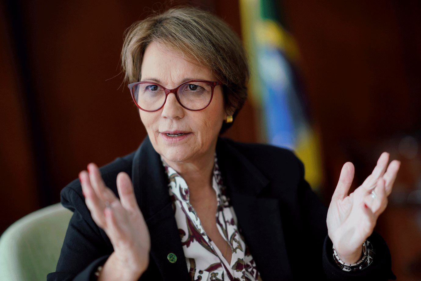 Brasil busca autorização da China à cana geneticamente modificada, diz ministra