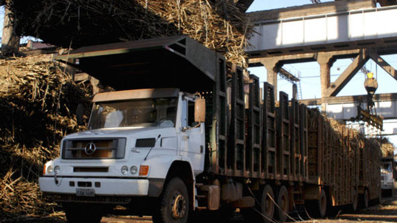 cana transporte 241114