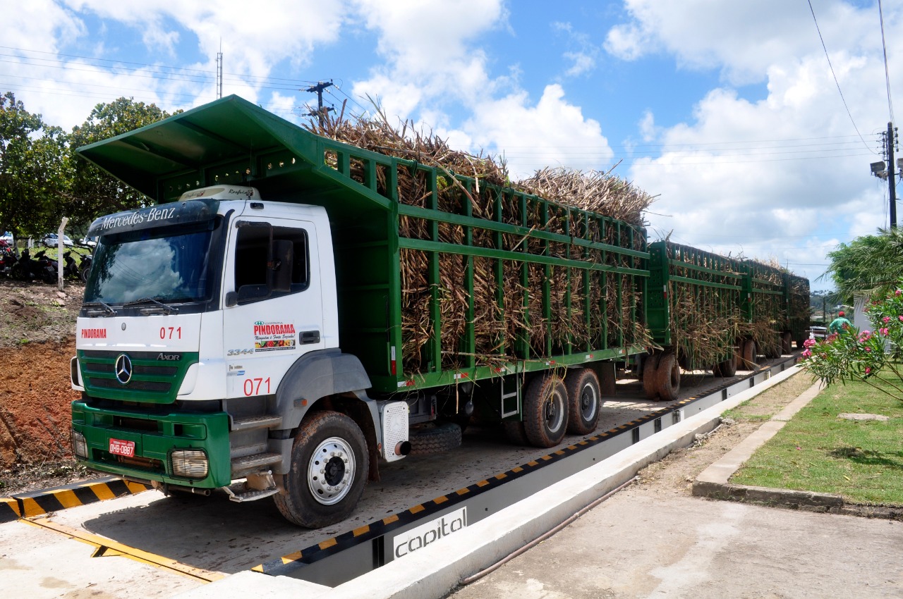 Safra de cana-de-açúcar 2019/20 em Alagoas pode ficar acima de 18 milhões de toneladas