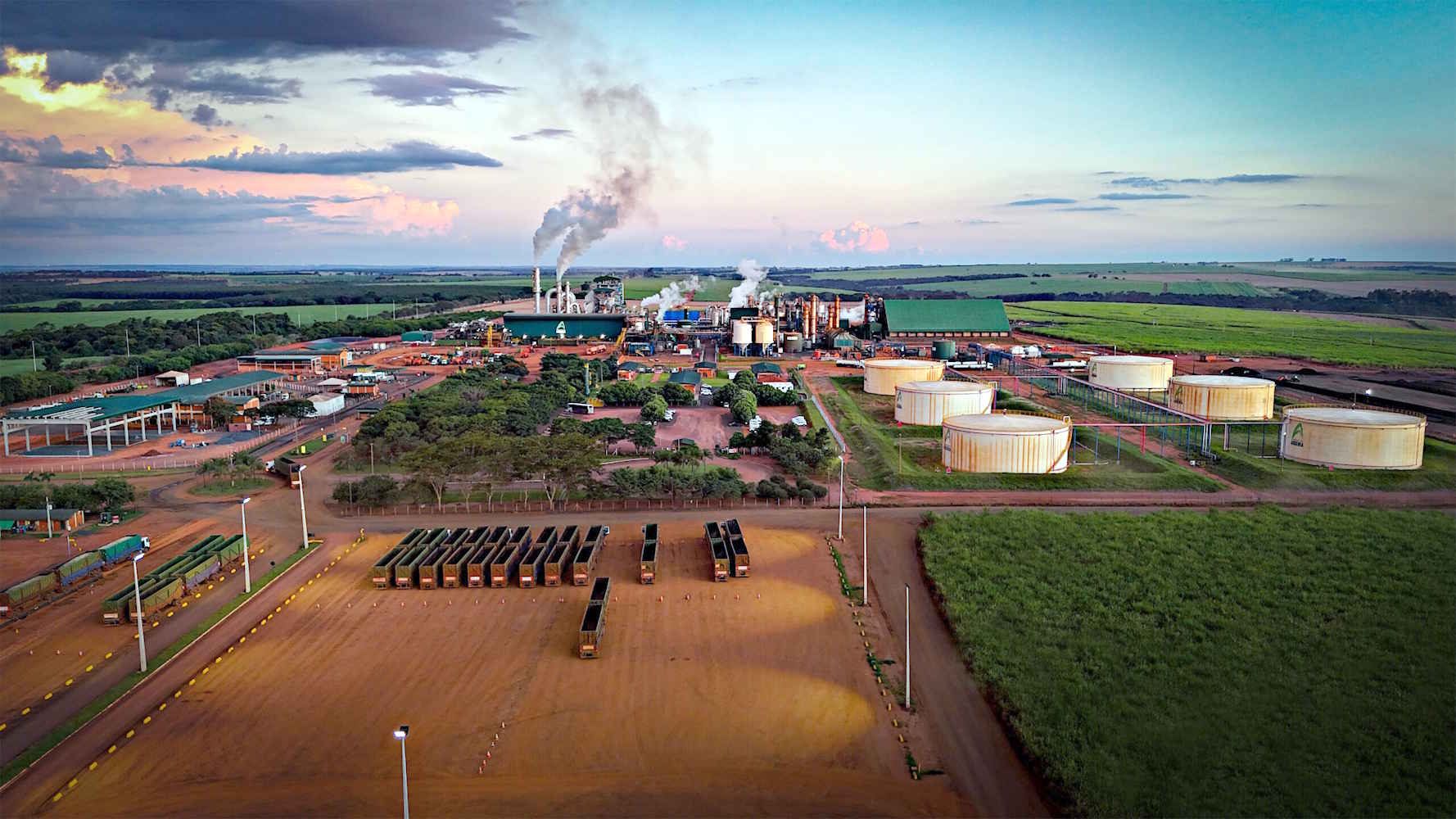 Lucro do grupo Aroeira recua 57,2% em 2025/26, para R$ 39,32 milhões