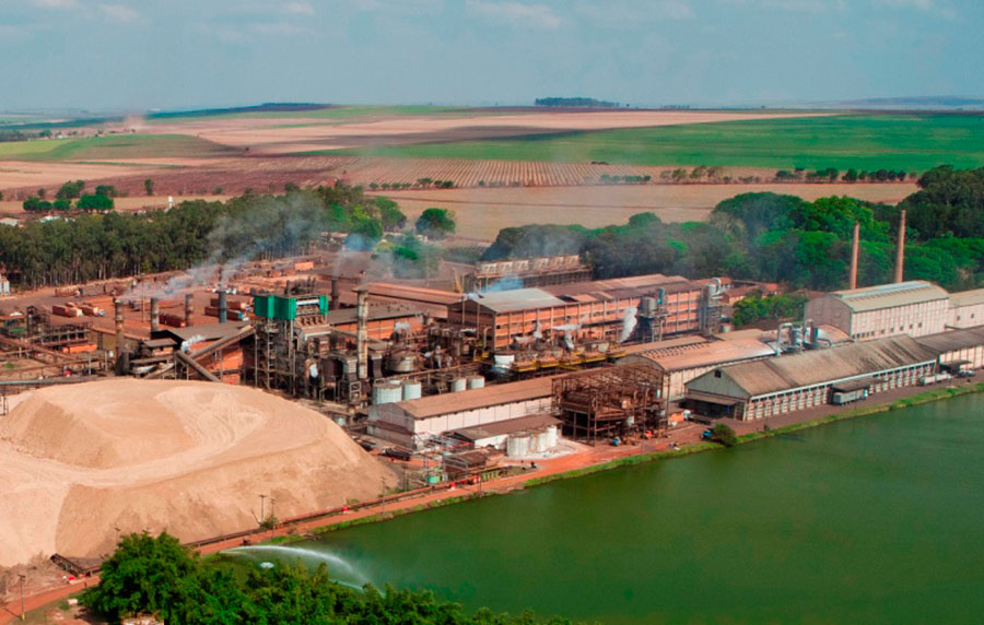 Biosev reverte prejuízo e fecha safra 2020/21 com lucro de R$ 216,4 milhões