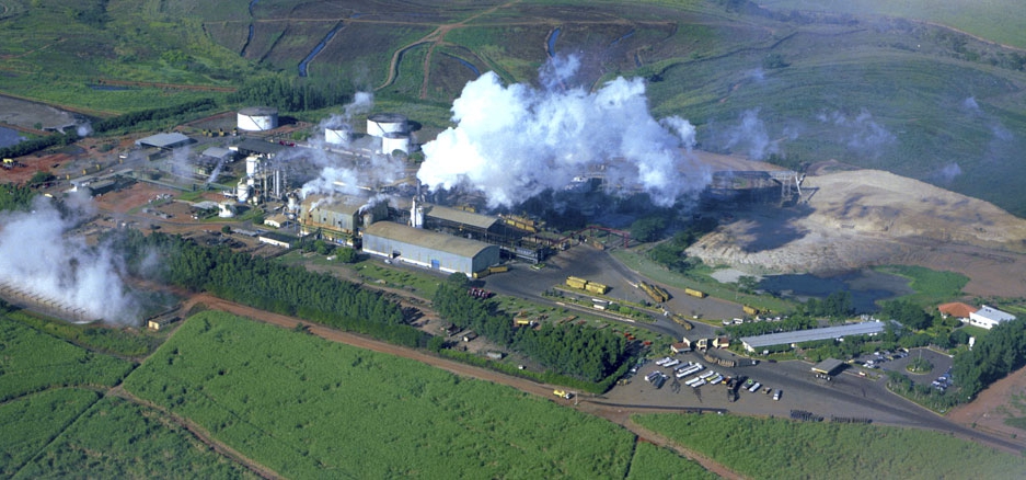 Clealco firma parceria com maior exportadora de amendoim do Brasil