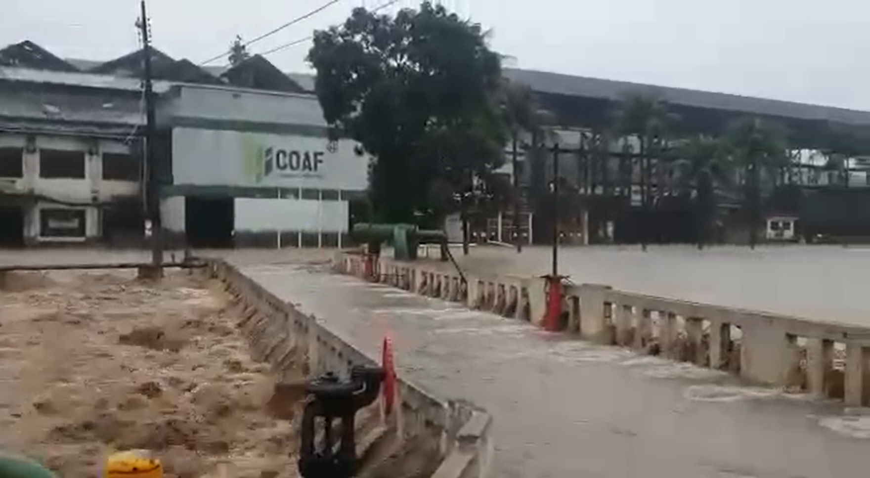 Fortes chuvas destroem canaviais e geram prejuízos para usinas de Pernambuco