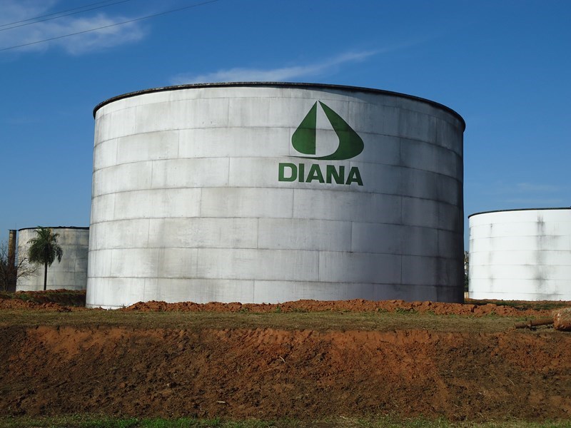 diana-200716