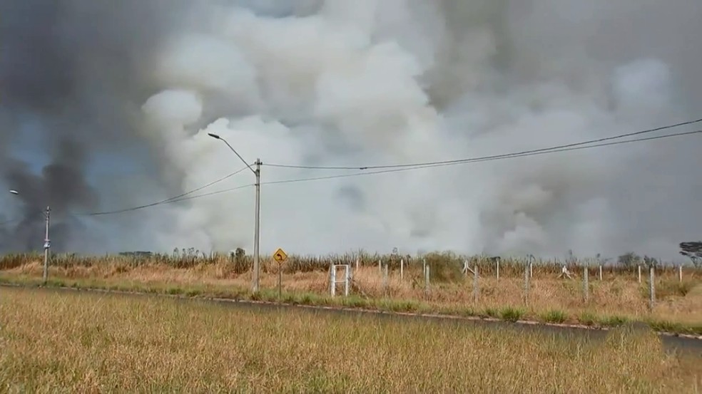 Canaviais e áreas de preservação são atingidos por incêndio em Gurinhatã (MG)