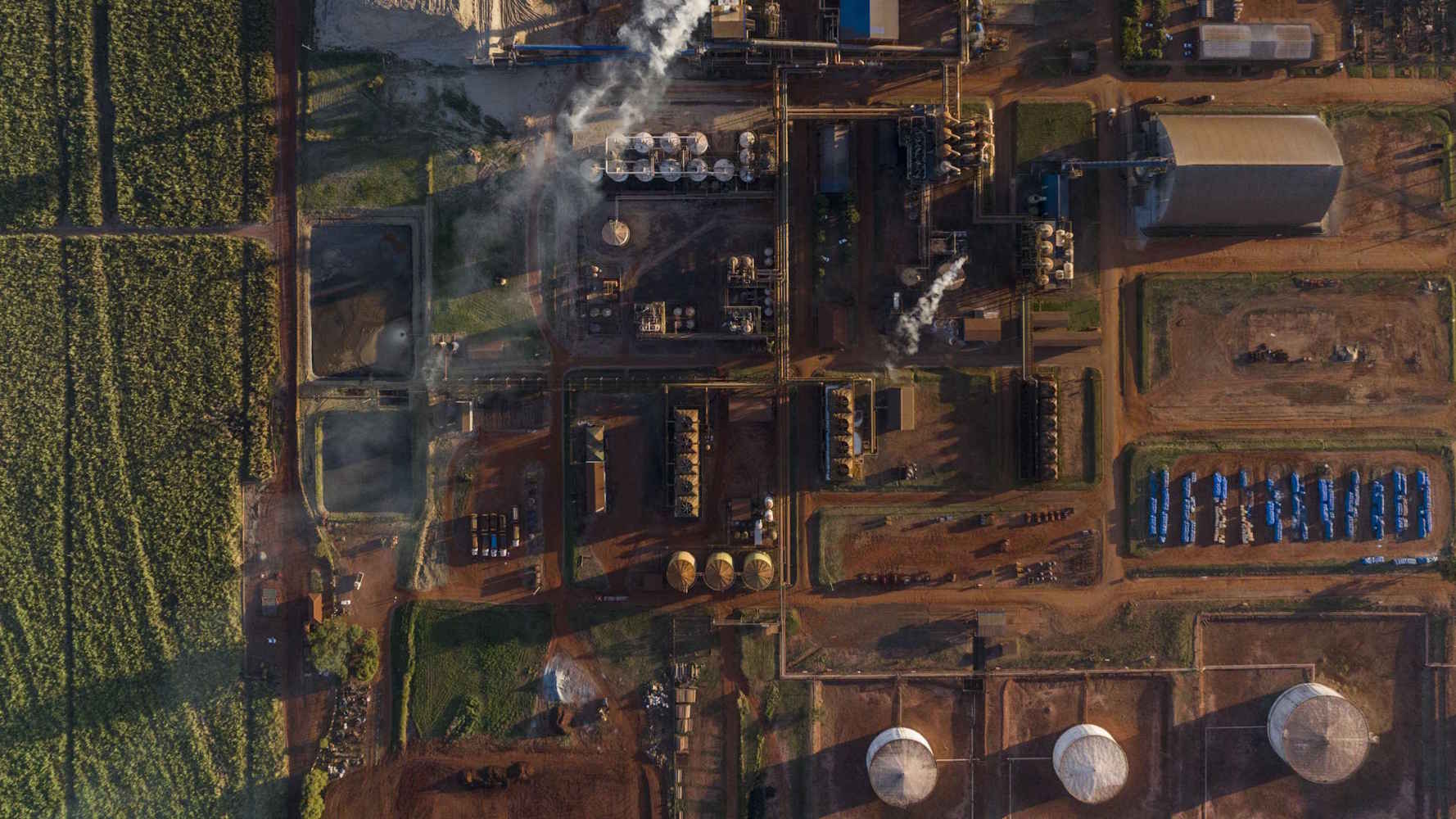 Em ano de centenário, Melhoramentos projeta moer 7,1 milhões de toneladas de cana