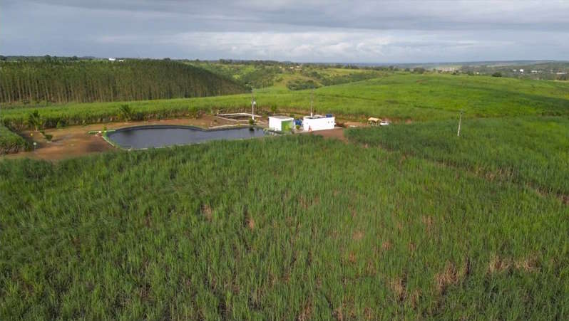 Usinas do Nordeste têm ganhos de até 92,8% na produtividade da cana com irrigação