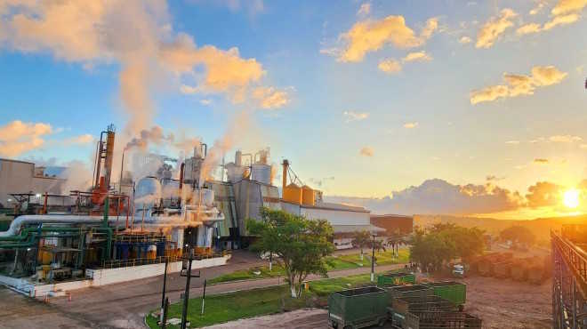 Pindorama projeta crescimento de até 10% em 2026/27 e amplia produção de etanol de grãos