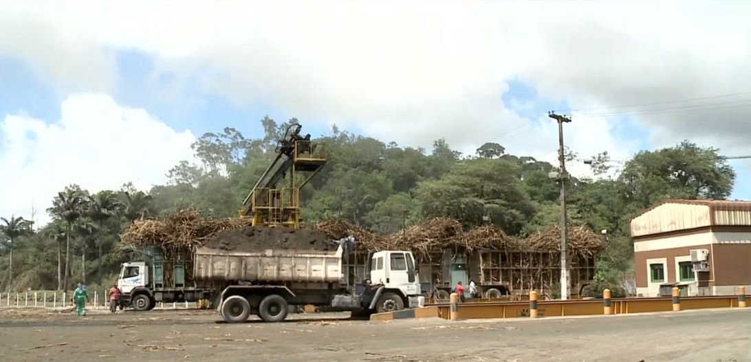 Produção de cana em Alagoas volta a crescer após anos de prejuízos