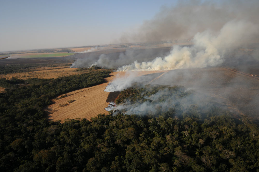 Fogo em fazenda de Bumlai destrói canavial e barracos de sem terras