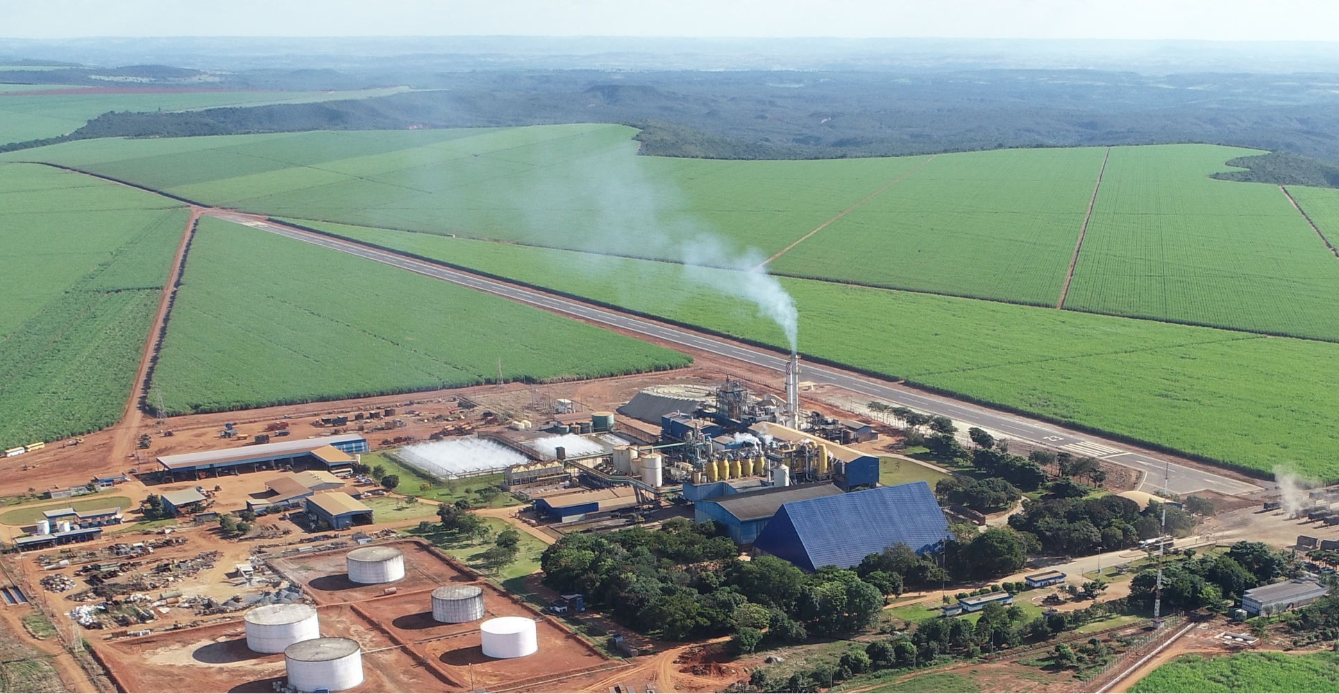WD Agroindustrial contrata financiamento de R$ 62 milhões via BNDES