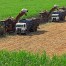 As estimativas atualizadas para a safra 2016/17 de 13 empresas especializadas