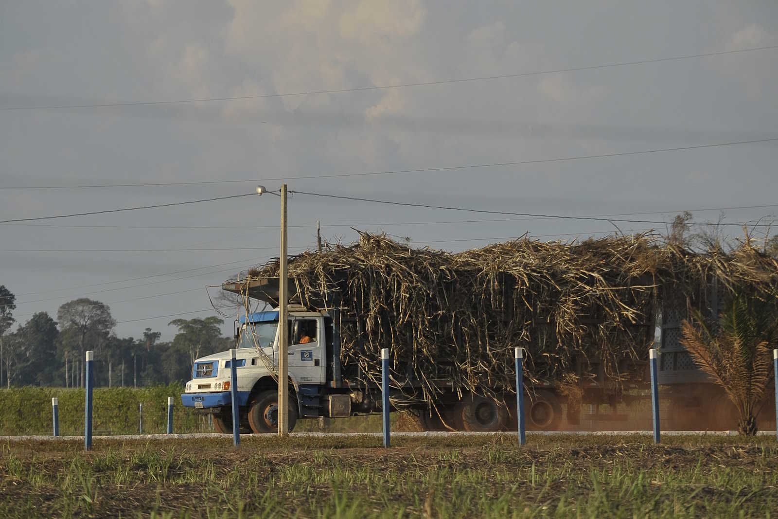 TST afasta responsabilidade de usina em acidente com empregado de transportadora de cana