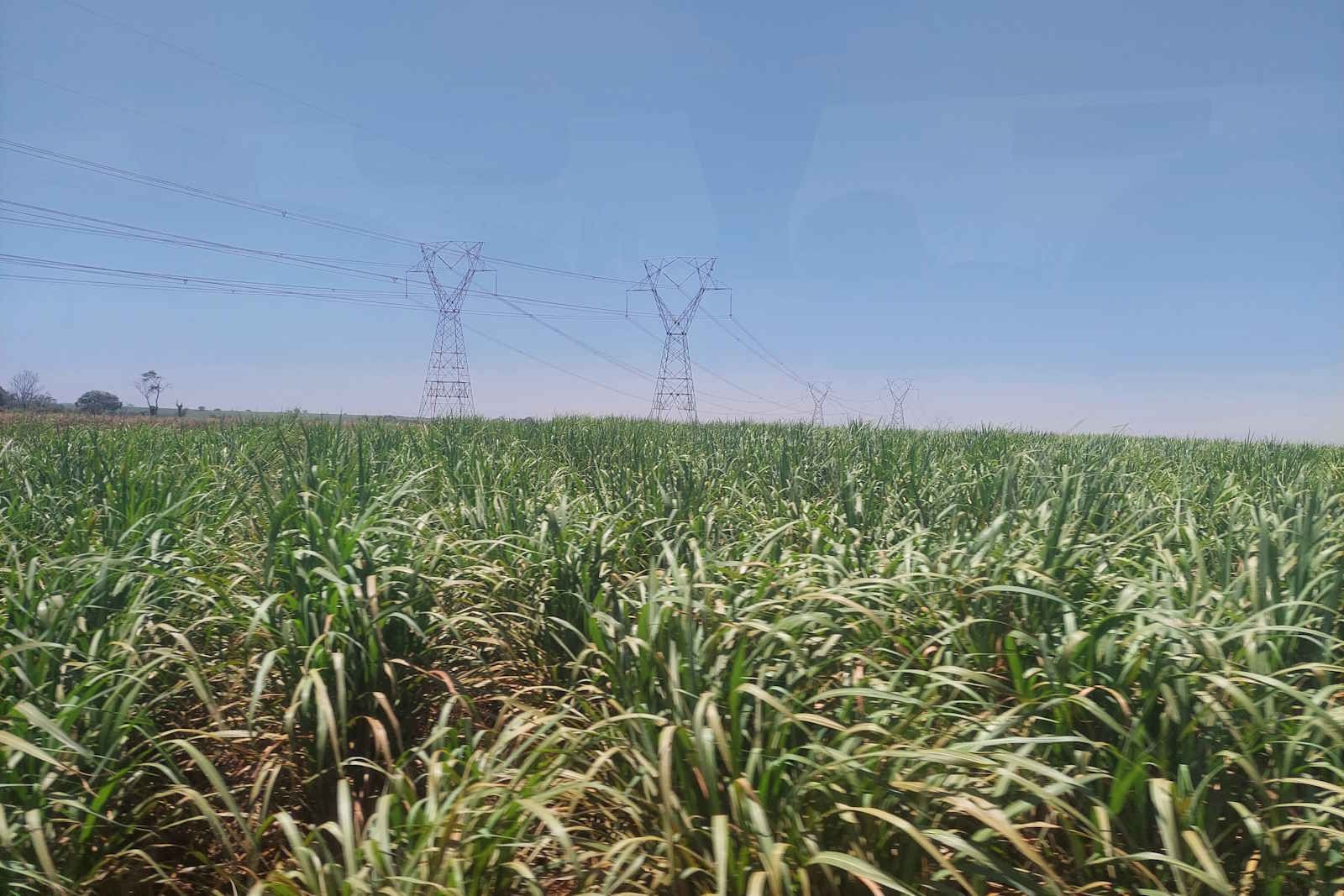 Agro e eleições: O que Flávio Bolsonaro e Lula propõem para a infraestrutura do setor