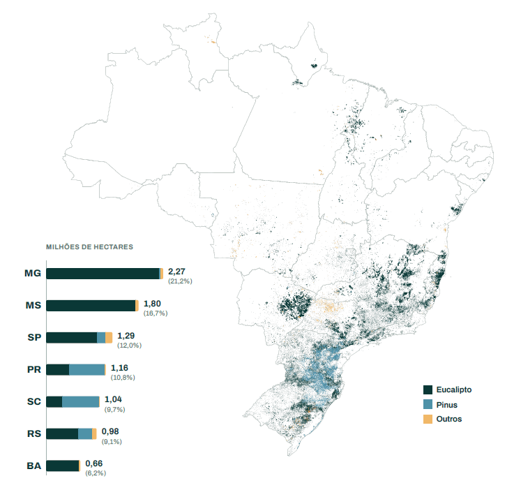 florestas-plantadas-231026.png