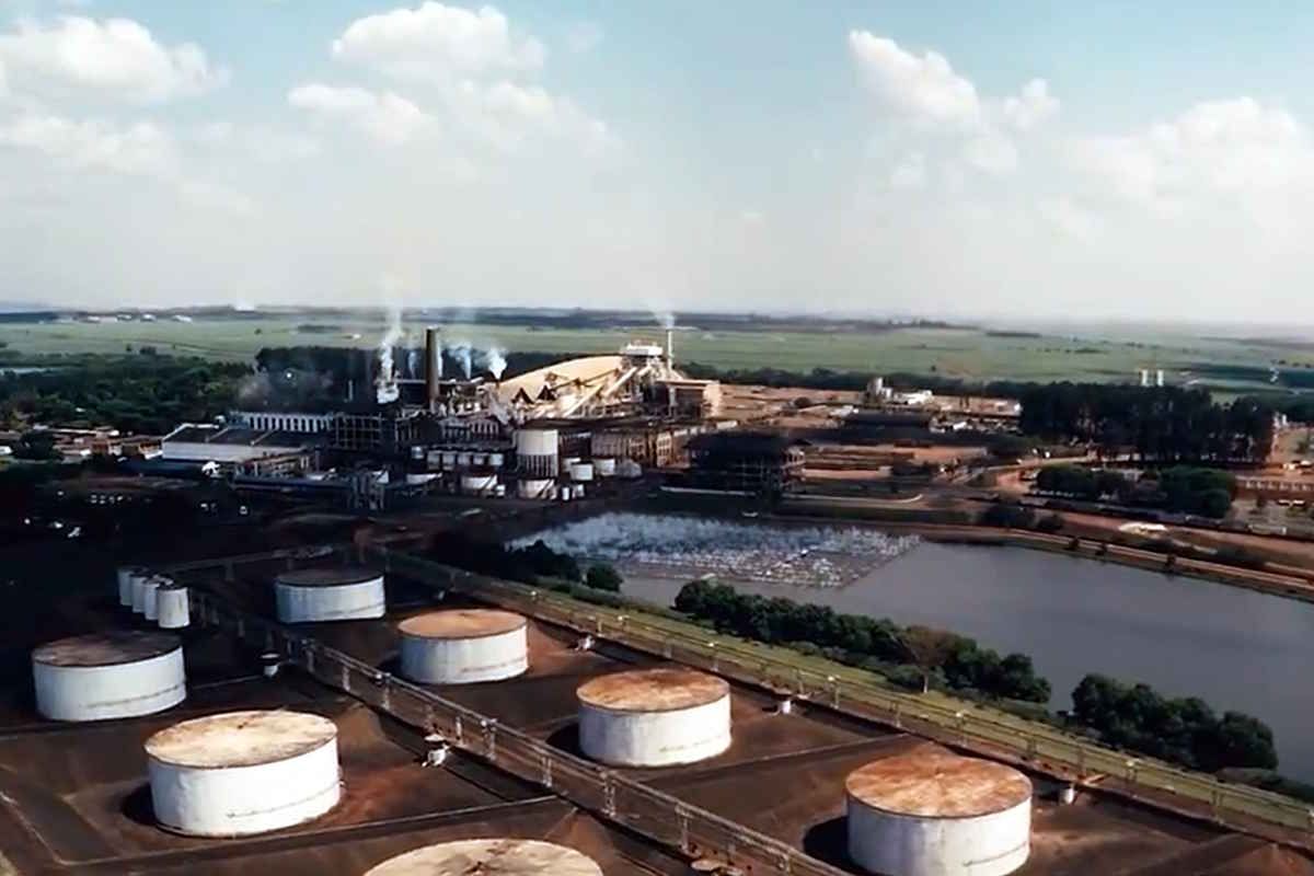Raízen, São Martinho e FS lideram exposição ao crédito privado entre usinas; setor soma R$ 58,4 bi