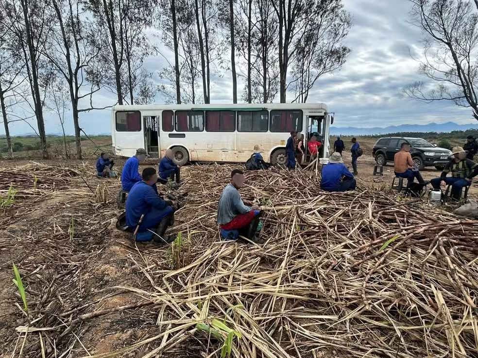 “Tava pedindo socorro”, relata um dos 67 trabalhadores resgatados de canavial no RJ