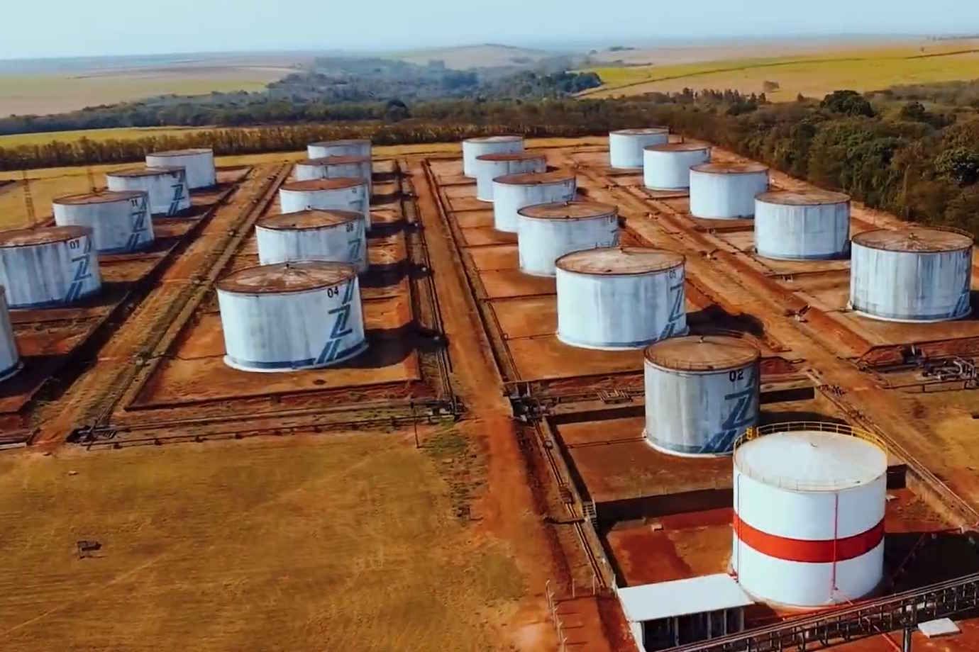 Zilor mira 14 milhões de toneladas de cana e avalia novas aquisições
